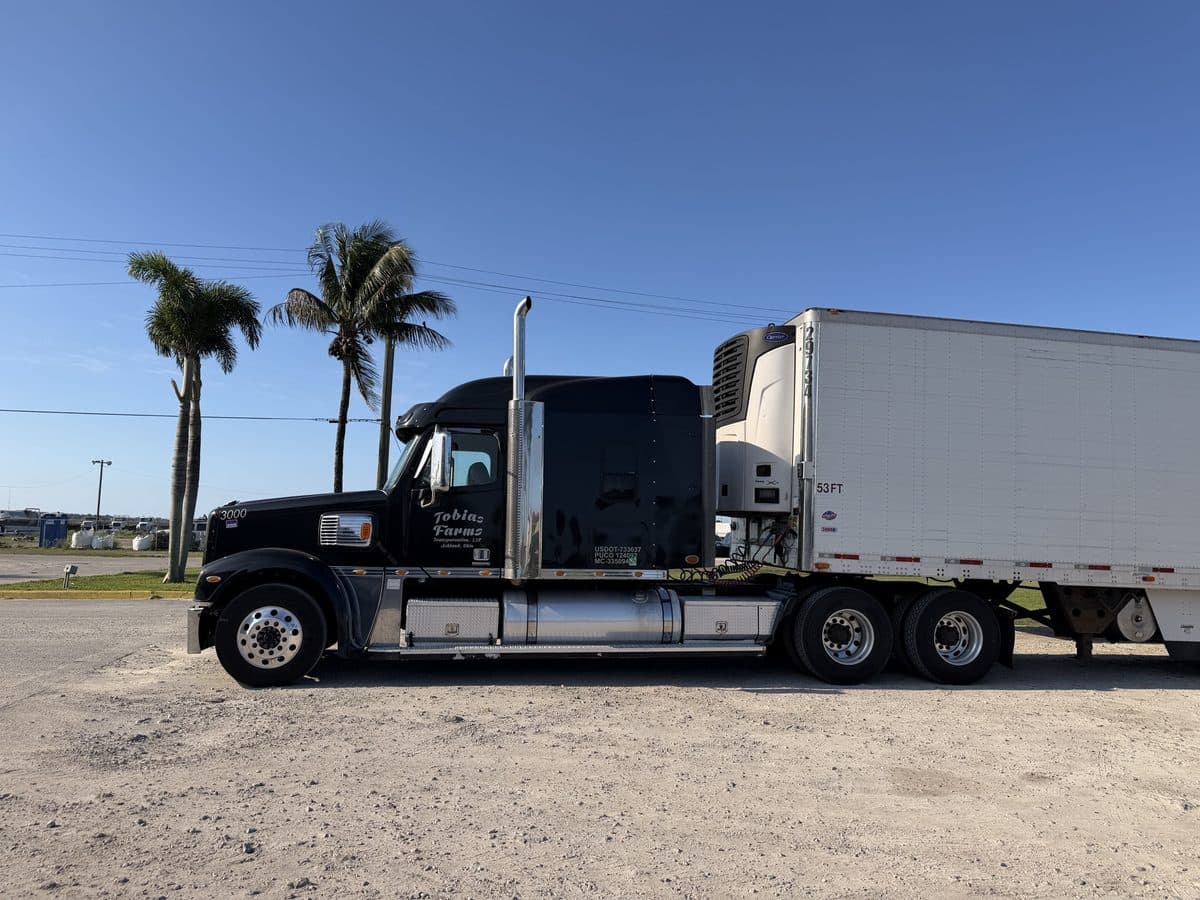 Side view of a black Freightliner Coronado and a refrigerated trailer parked among palm trees.