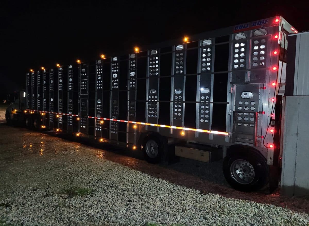 An aluminum livestock trailer at night, marker lights and reflective tape lit along its side.