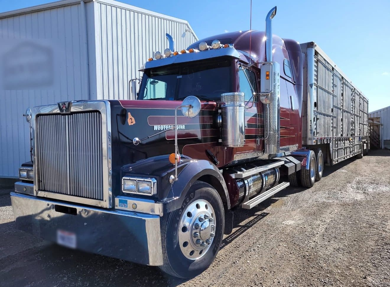 A Western Star conventional hitched to an aluminum livestock trailer on a gravel lot beside a farm building.