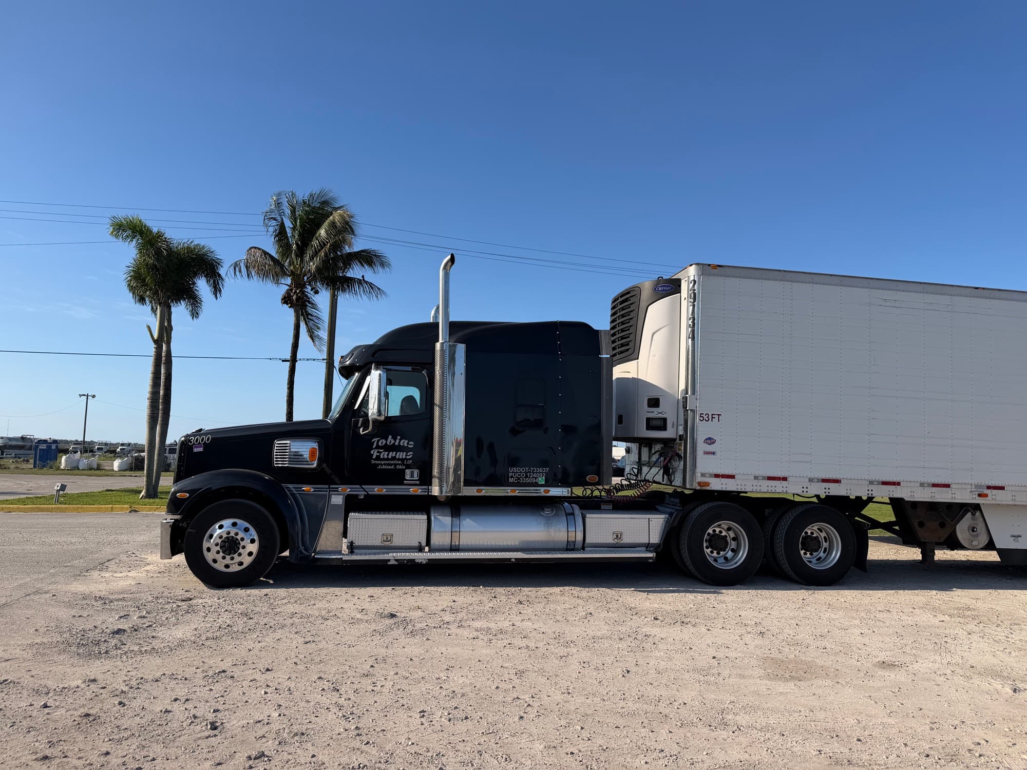 Black Freightliner Coronado sleeper with a 53-foot refrigerated trailer, parked on a Florida lot with palm trees behind it
